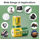 Delipow 4-pack D cell 5000mAh rechargeable batteries powering portable radio, camping lantern, boom box, and medical monitor