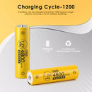Infographic showing Delipow AA 2500mAh NiMH battery capacity, 1200 recharge cycles, and low self-discharge technology