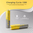 Infographic showing Delipow AAA 1000mAh 1.2V NiMH battery capacity, 1200 recharge cycles, and low self-discharge technology