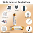Delipow AAA alkaline batteries powering TV remote, wall clock, flashlight, and portable radio