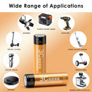 Delipow battery in extended runtime lighting applications