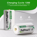 Infographic showing Delipow D battery 11000mAh capacity and 1200 charge cycles lifespan