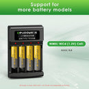 Delipow smart charger compatible with AA and AAA Ni-MH Ni-CD 1.2V rechargeable batteries