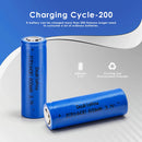 Doublepow 14430 battery cycle life and capacity chart showing 600mAh capacity and performance data