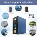 Gotion 300Ah LiFePO4 cell featuring deep cycle longevity.