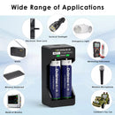 Delipow AA LSD Batteries Charging in 2-Bay Smart Charger and Powering TV Remote Control