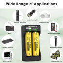 Delipow AA Batteries and Charger Powering Digital Camera and Toy