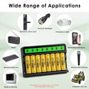Delipow LCD Charger and AA Batteries Used in Professional Audio Equipment