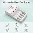Delipow AA Lithium Battery Button Top Positive Terminal Close-up