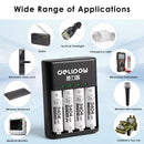 Delipow AA Lithium Batteries and Charger Powering Blink Security Camera and Xbox Controller
