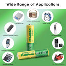 Delipow AAA 1000mAh Batteries Used in Cordless Phone and Remote Controls
