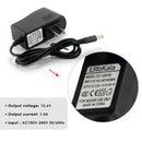 LiitoKala 12.6V 1A charger technical specifications: Model Lii-126100, Input 100-240V AC, Output 12.6V DC 1.0A, DC 5.5×2.1mm plug, constant current & constant voltage charging, CE RoHS certified. Suitable for 3S Li-ion battery packs.