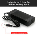 LiitoKala 12.6V 5A charger guide showing the DC 5.5×2.1mm output plug and compatibility: Suitable for 12.6V 5A Lithium Battery Pack (3S Li-ion), but NOT for 14.6V 5A LiFePO4 Battery Pack (4S LiFePO4). Please verify your battery type before ordering.