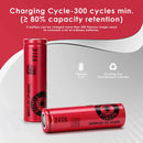 740mAh Sanyo battery 500 cycles rechargeable