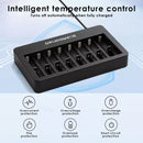 Universal charger in hobbyist workstation charging multiple battery types