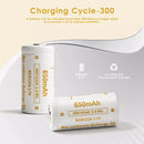 Vapcell T6 16340 button top battery with 650mAh and 6A markings